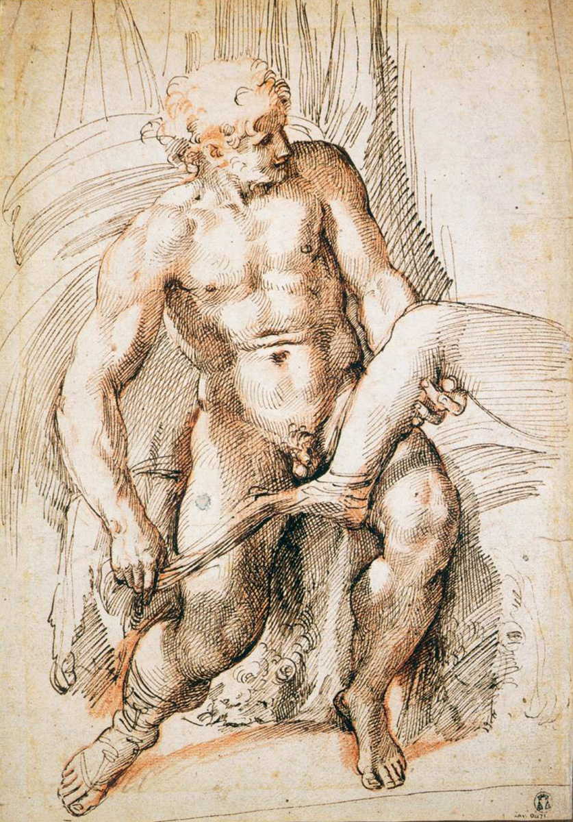 anchises